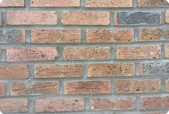 Dolphin Mixed Brick Veneers